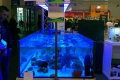 Aqua-Fisch-Friedrichshafen-2018-3
