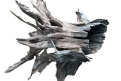 AQUADECOR-Corbo-Stump