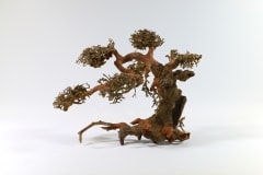 aquadecor Aqua Bonsai L