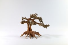 aquadecor Aqua Bonsai M