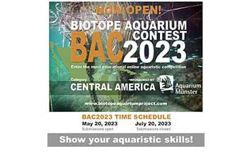 Biotope Aquarium Contest BAC2023